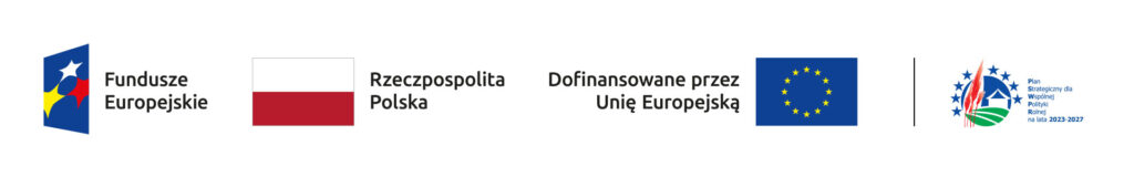 logo_EU_Polska_inne_02