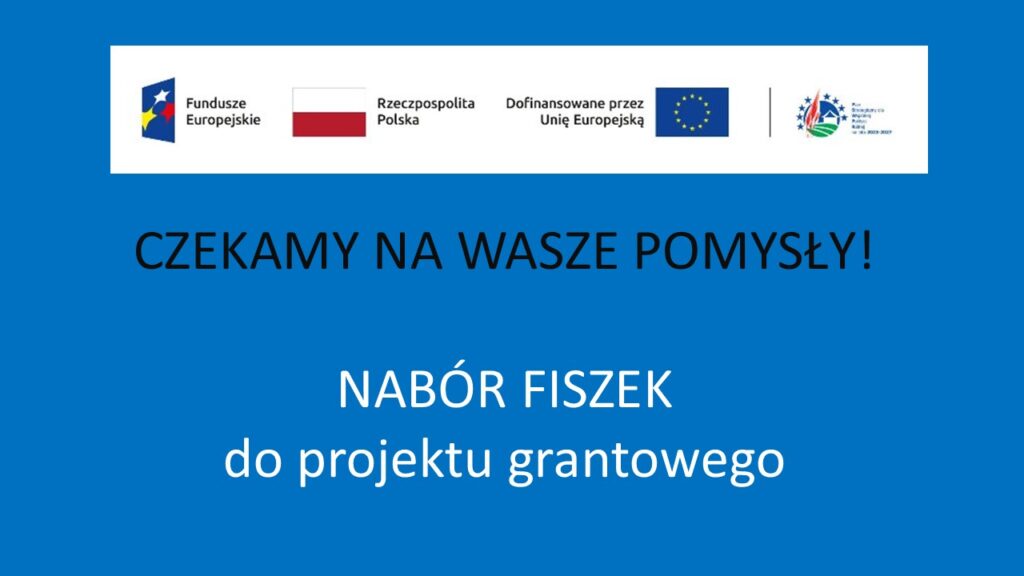 Nabór fiszek projektowych dla potencjalnych grantobiorców